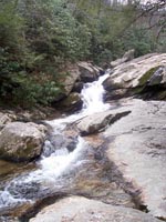 camp creek gay personals Alabama gay campgrounds lizard landing camp 586 lizard lope rd lizard landing is situated on the omussee creek, mix of singles & couples. camp creek gay personals Alabama gay campgrounds lizard landing camp 586 lizard lope rd lizard landing is situated on the omussee creek, mix of singles & couples.